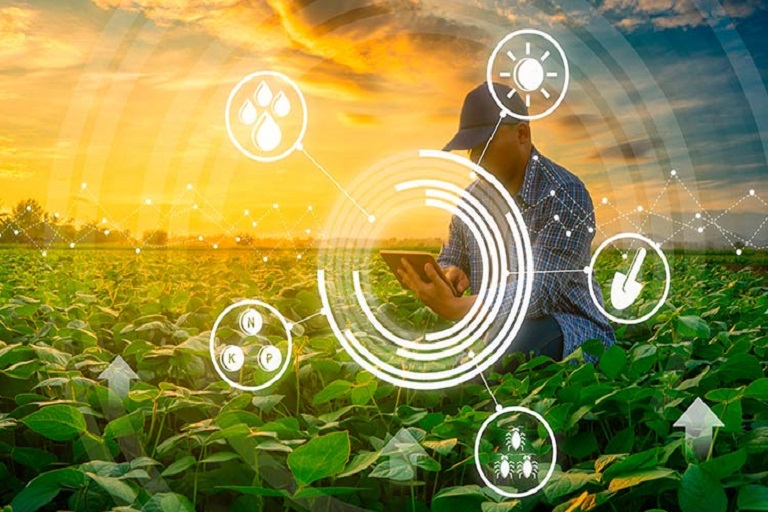 Startup mexicana apuesta por financiamiento a agricultores para impulsar el mercado de exportaciones del país