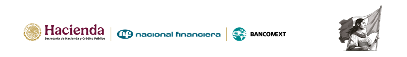 AUTORIZAN CONSEJOS DIRECTIVOS DE NAFIN Y BANCOMEXT NUEVOS NOMBRAMIENTOS