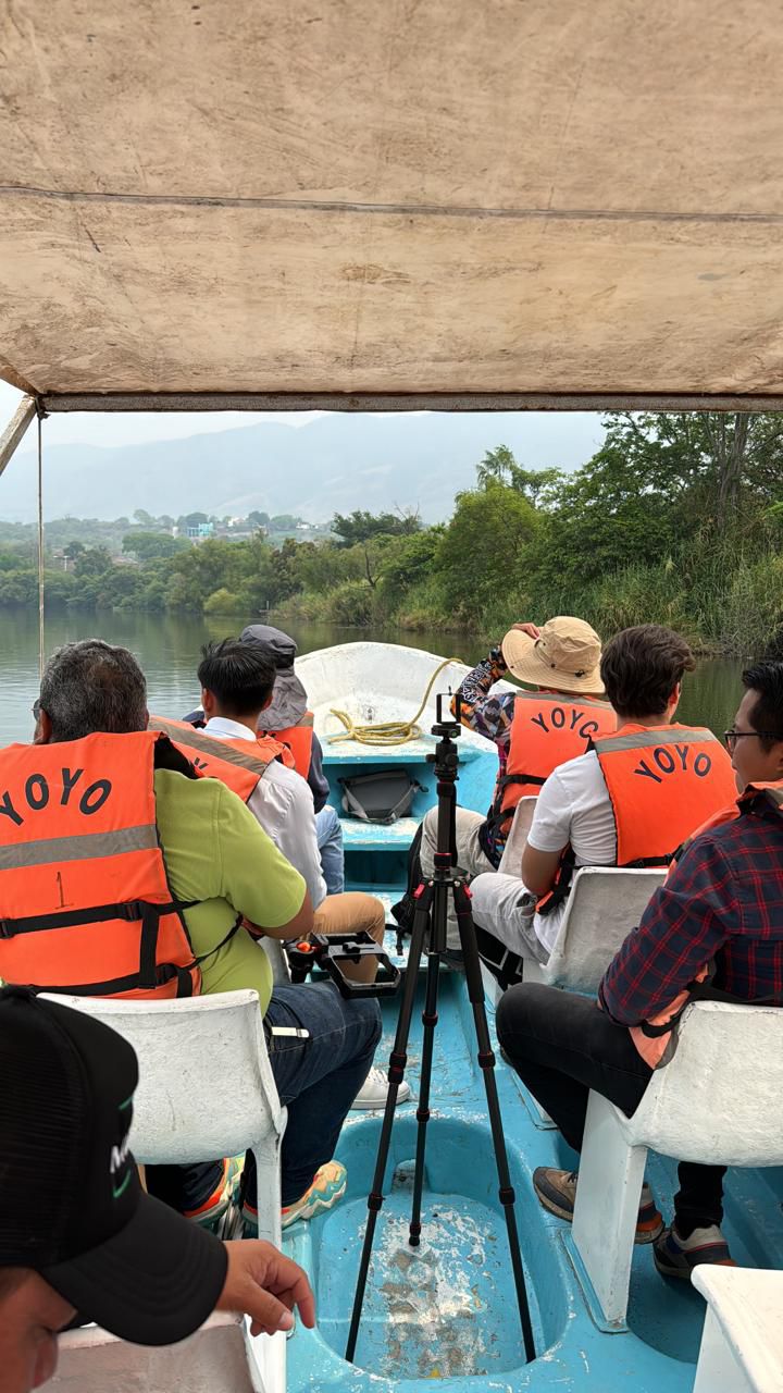 Paseos en el sumidero