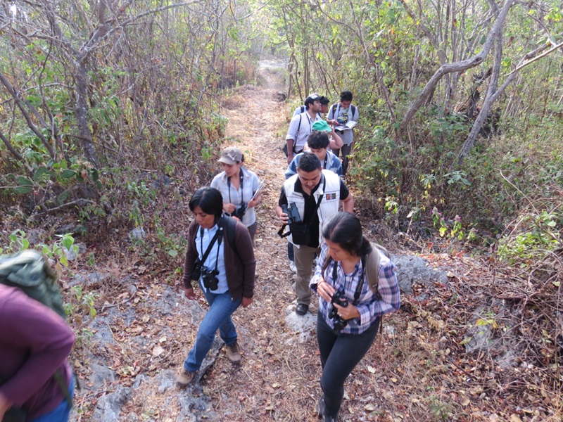 Realiza CONANP el Cierre Temporal a la Pista Camino Viejo Para Garantizar su Conservación. 