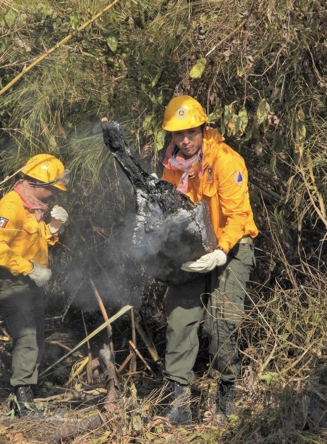 Se combate de manera exitosa incendio forestal en la Selva Lacandona 