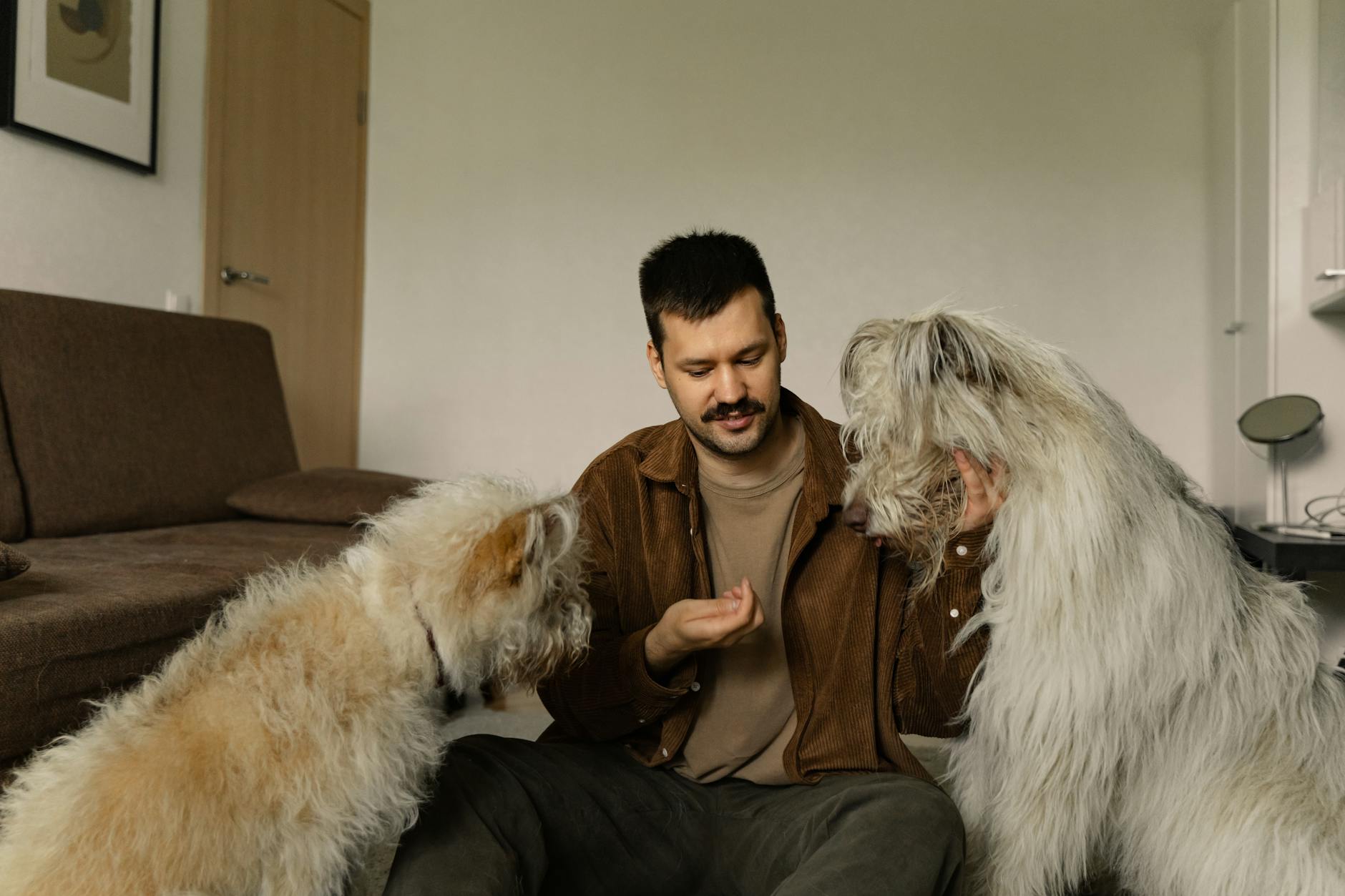 ¿Sabías por qué celebramos el Día Mundial del Perro? Spoiler: es más que amor 