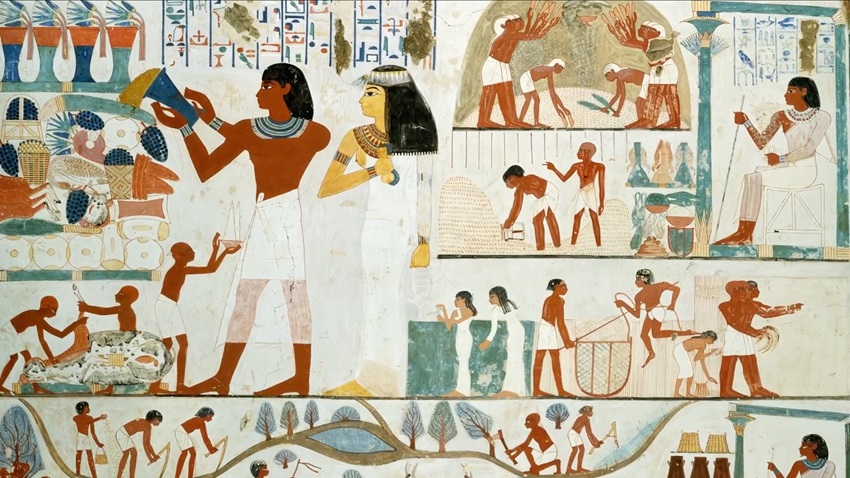 Pharahos 41