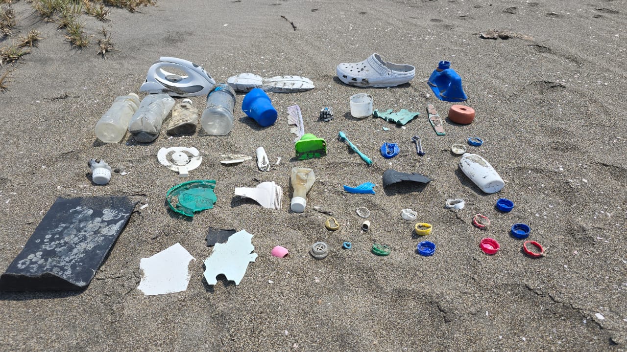 Microplásticos en el mar y en nuestros cuerpos: fenómeno casi invisible 