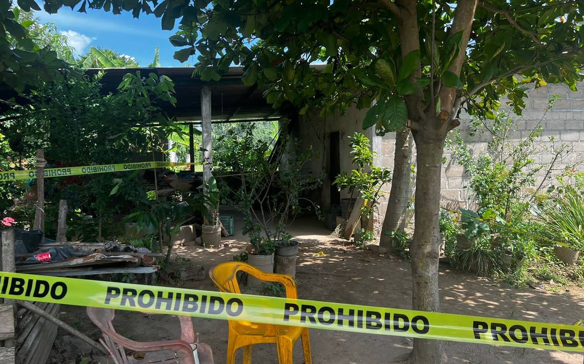 Niñez y adolescencia entre la migración y el reclutamiento criminal 