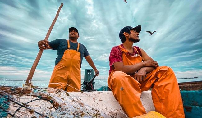 Mar de Chiapas, el 5 más productivo del país