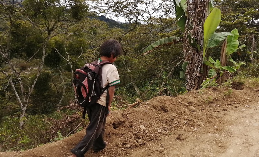 Infancia trabajadora en Chiapas