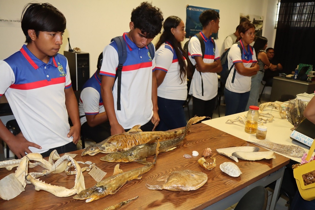 Comparte UNICACH conocimientos sobre investigaciones costeras