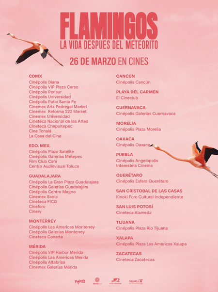 Flamingos: la vida después del meteorito en cines desde el 26 de marzo.