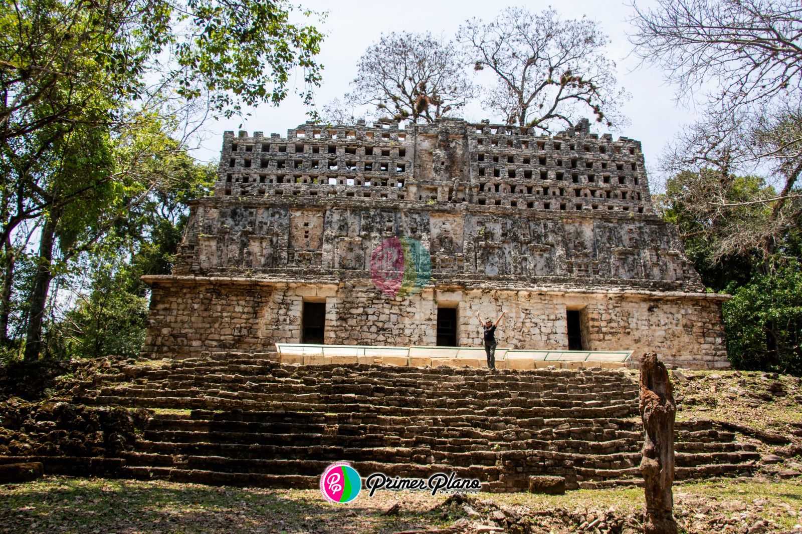 Palenque, Bonampak y Yaxchilán: la red política que dio forma al mundo maya