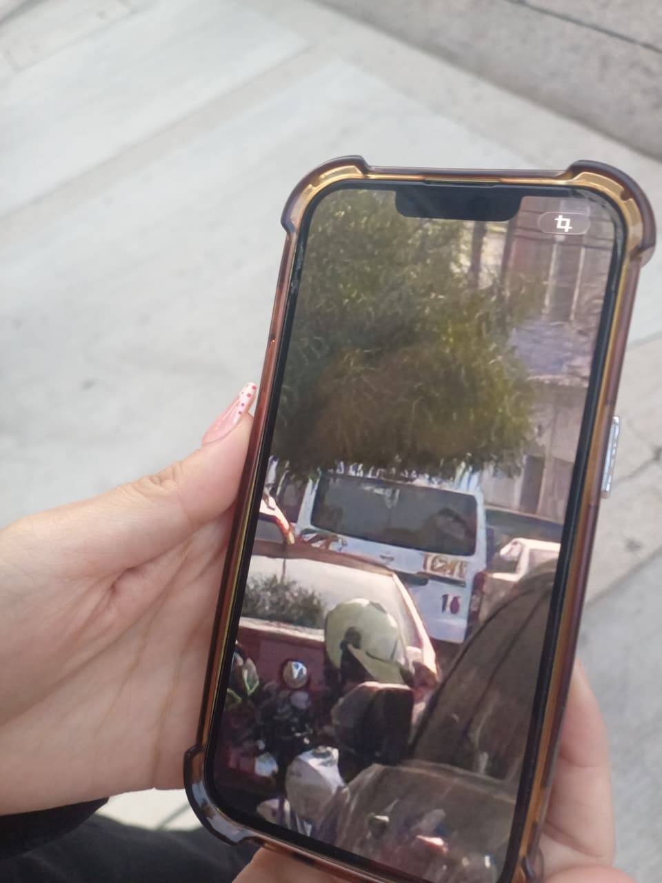 Indignación en Tuxtla: acusan a unidad TCHT de atropellar intencionalmente a un perrito