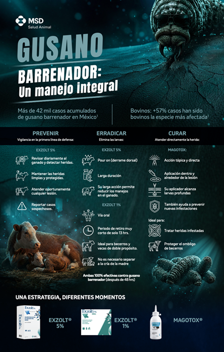 Prevención y ciencia, claves para proteger al ganado mexicano frente al gusano barrenador